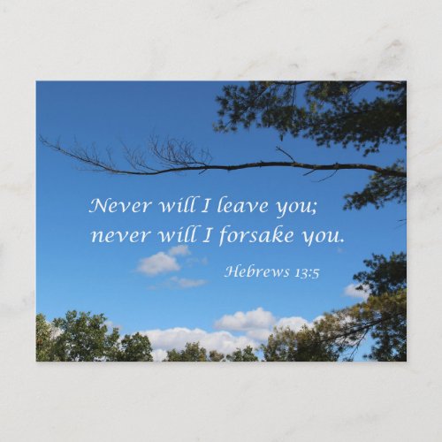 Hebrews 135 Never will I leave you Postcard