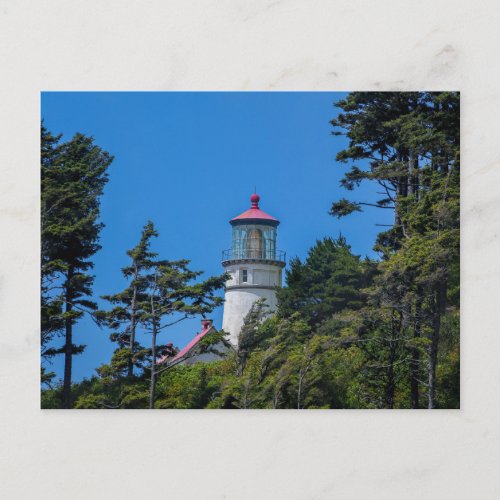 Heceta Head Lighthouse  Oregon Coast  Postcard