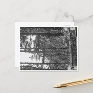 Heceta Head Lighthouse Postcard b&w