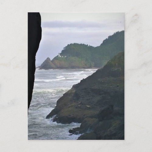 Heceta Head Lighthouse  Sea Lions OR Postcard