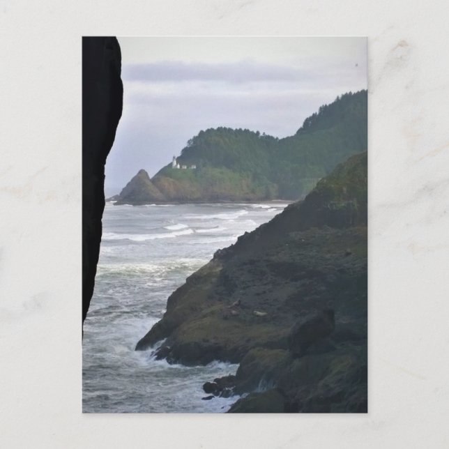 Heceta Head Lighthouse & Sea Lions, OR Postcard (Front)