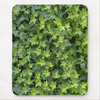 hedera mouse pad