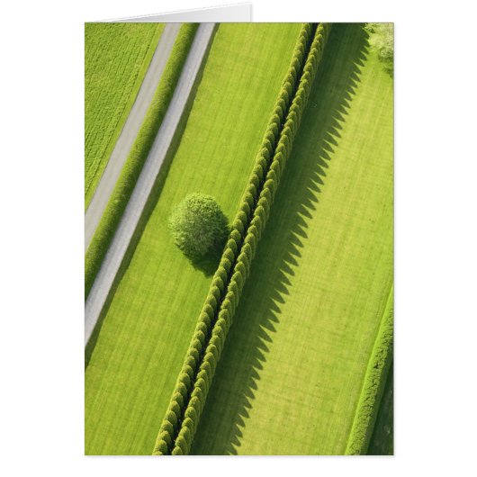 Hedge in The Hamptons Cards (Front)