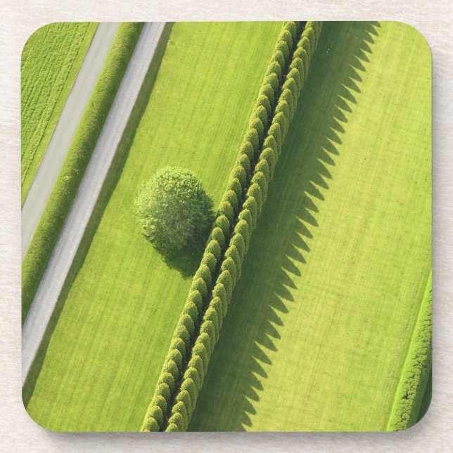 Hedge in The Hamptons Drink Coaster (Front)