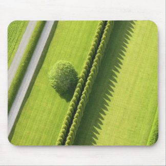 Hedge in The Hamptons Mouse Pad