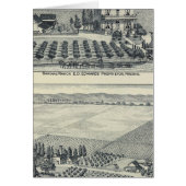 Hedge Row Vineyard, Fresno (Front)