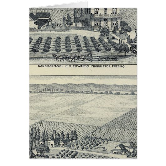 Hedge Row Vineyard, Fresno Cards (Front)
