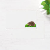 hedgehog (Desk)