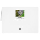 "Hedgehog (7)" Cards (Back Horizontal)
