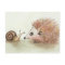 Hedgehog and Snail