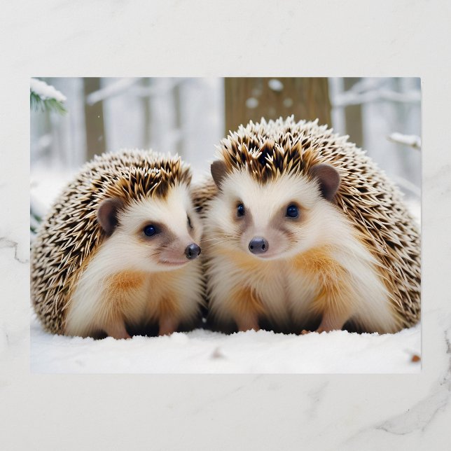 Hedgehog Animal Nature Wildlife Affection Caring Foil Holiday Postcard (Front)