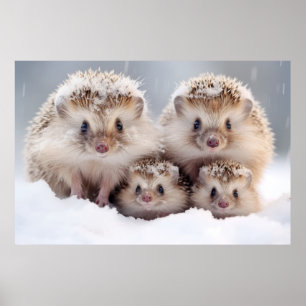 Hedgehog Animal Wild Beauty Freedom Wilderness Art Poster