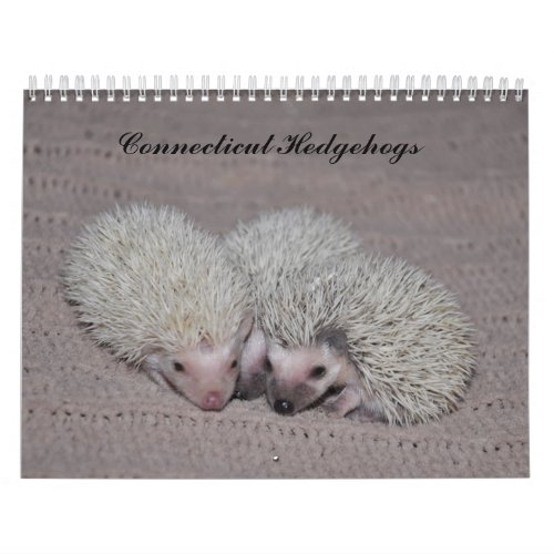 Hedgehog babies calendar