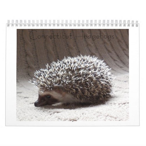 Hedgehog baby calendar 3