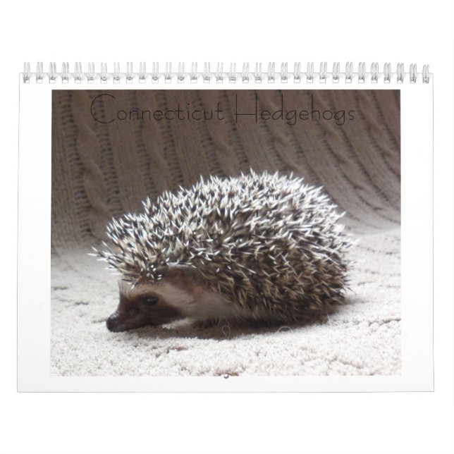Hedgehog baby calendar 3 (Cover)
