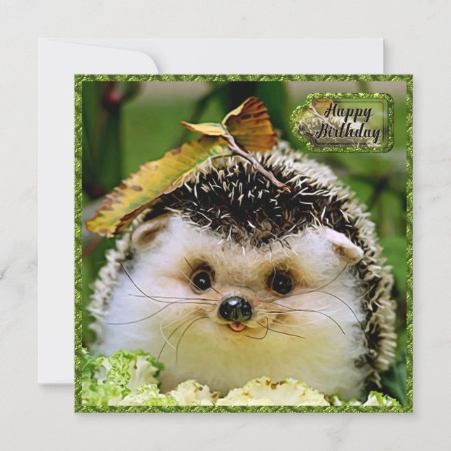 Hedgehog Birthday Card (Front)