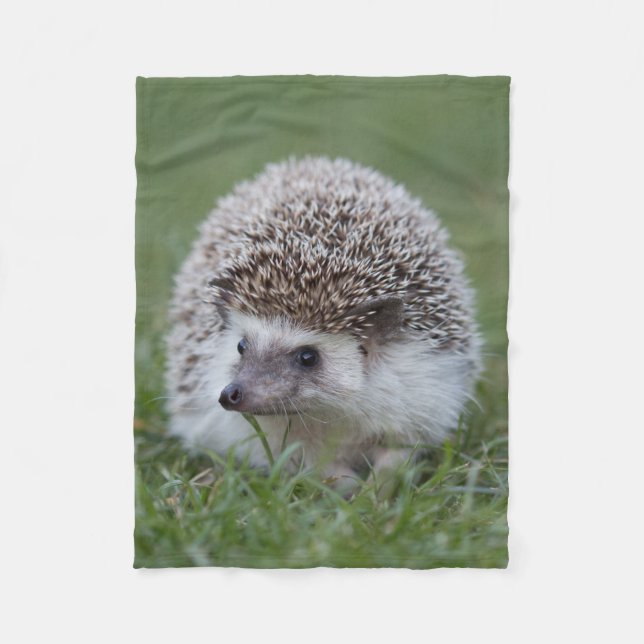 Hedgehog blanket (Front)