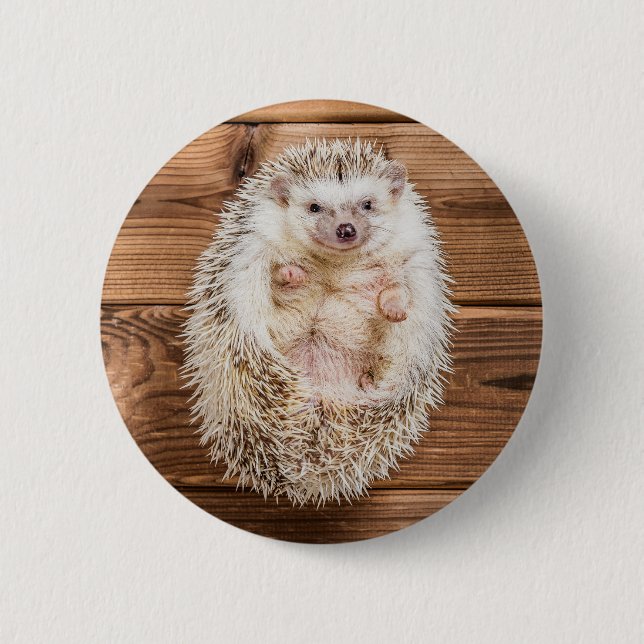 Hedgehog Button (Front)