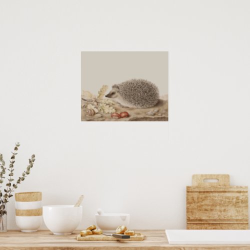 Hedgehog by Giovanna Garzoni Poster