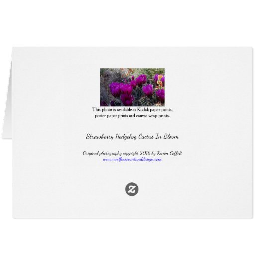 Hedgehog Cactus Magenta Flowers Arizona Southwest (Back Horizontal)