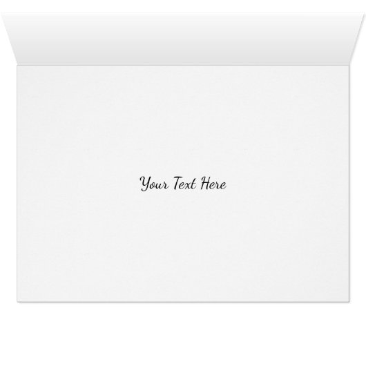 Hedgehog Cactus Magenta Flowers Arizona Southwest (Inside Horizontal (Bottom))