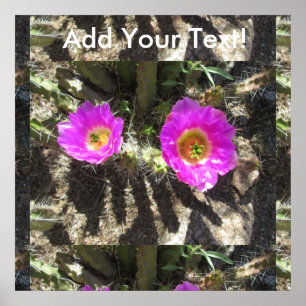 Hedgehog Cactus Poster