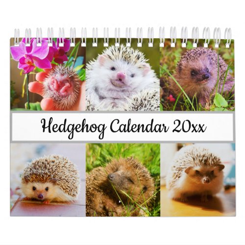 Hedgehog Calendar