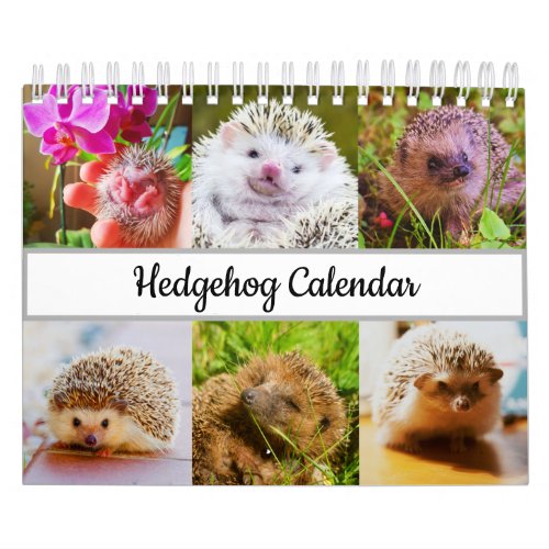 Hedgehog Calendar