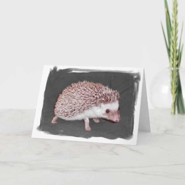 Hedgehog Card (Front)