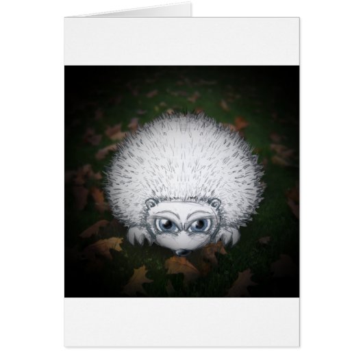 hedgehog cards (Front)