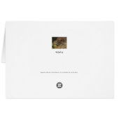 Hedgehog Cards (Back Horizontal)