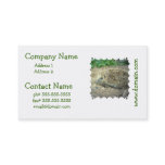 Hedgehog Care Business Cards