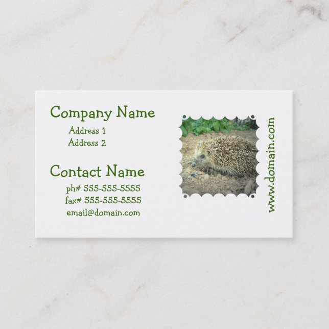 Hedgehog Care Business Cards (Front)