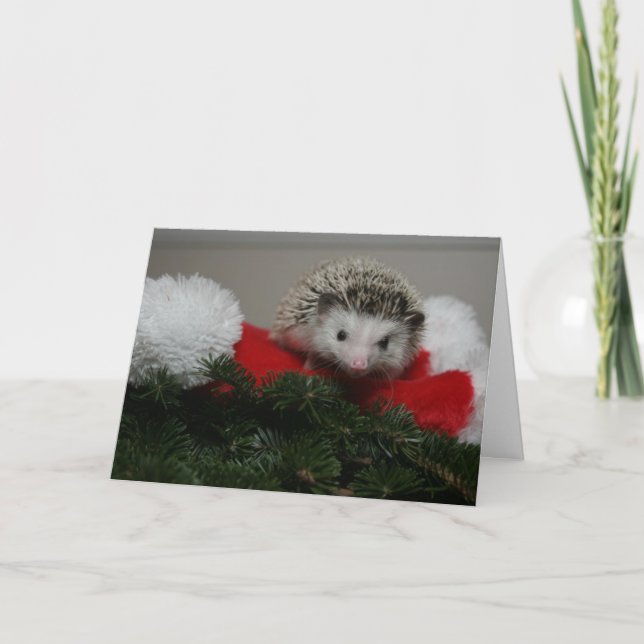 Hedgehog Christmas Card (Front)