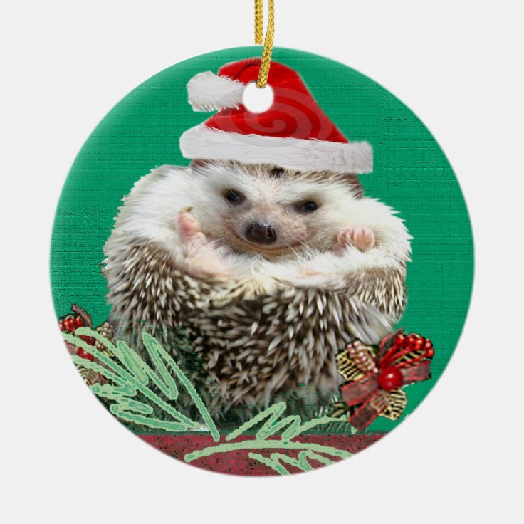 Hedgehog Christmas Ornament Zazzle