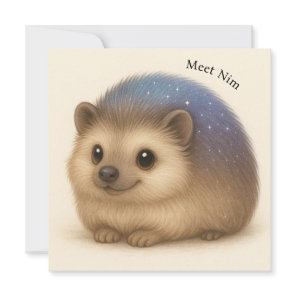 Hedgehog Comfort Greeting Card Meet Nim - Series