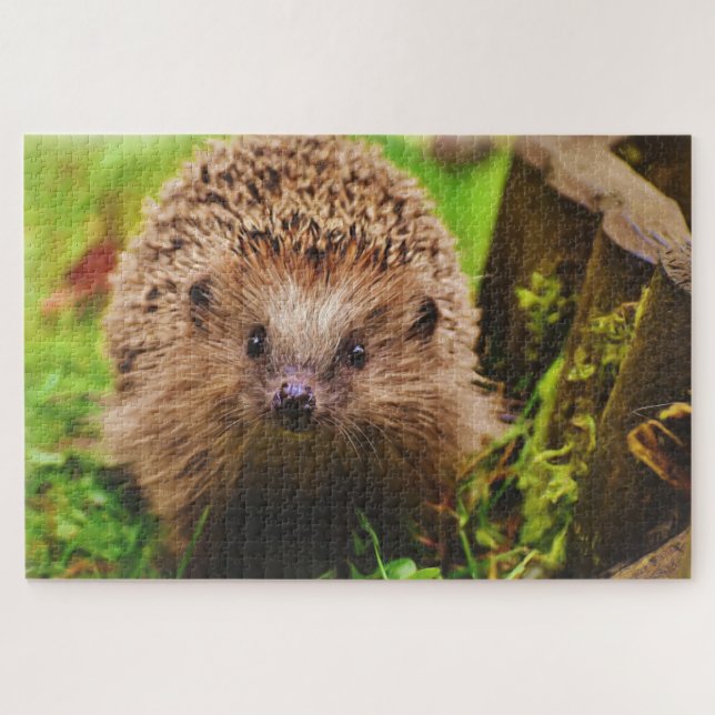 Hedgehog Curiously Exploring Jigsaw Puzzle (Horizontal)
