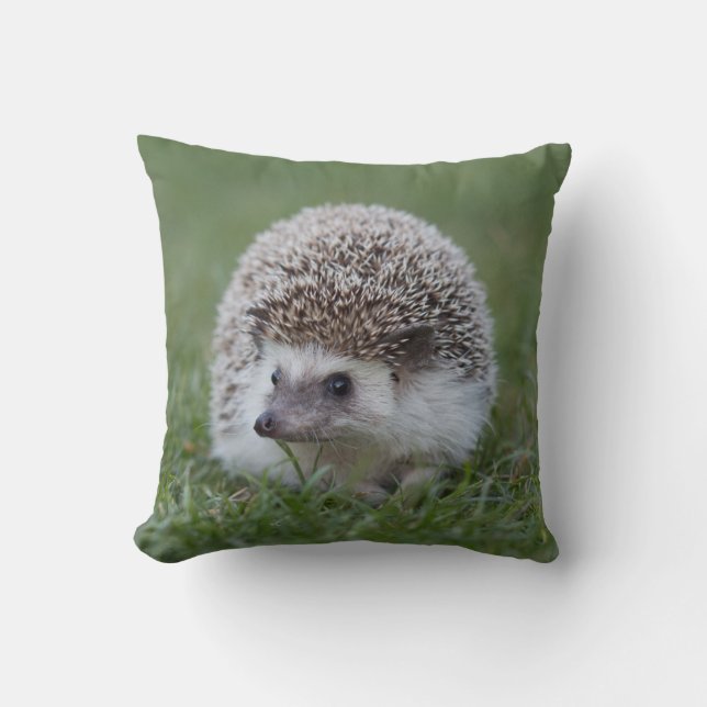 Hedgehog Cushion (Front)