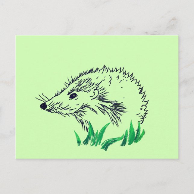 Hedgehog Drawing Custom   Postcard (Front)