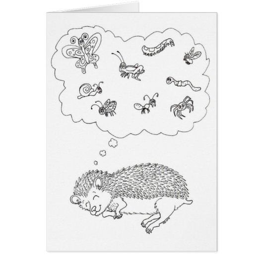 Hedgehog Dreams Cards (Front)
