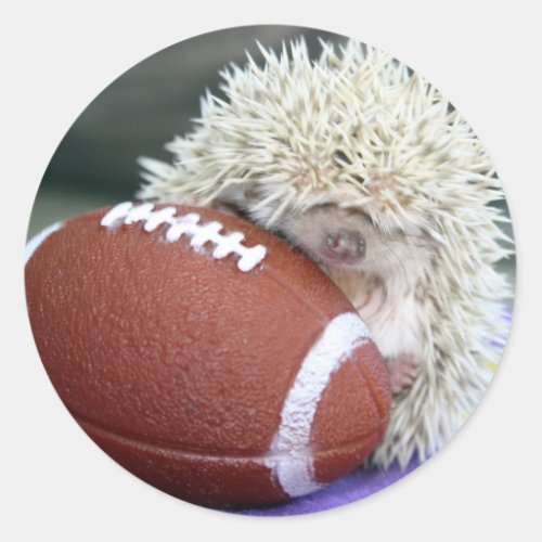 Hedgehog Football Classic Round Sticker