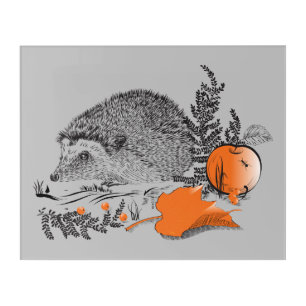 Hedgehog graphicart acrylic print