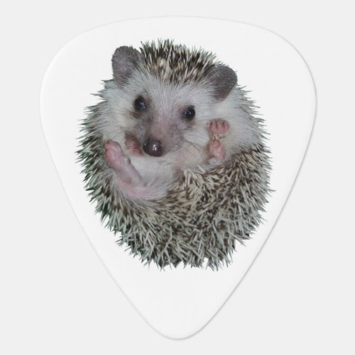 Hedgehog Guitar Pick