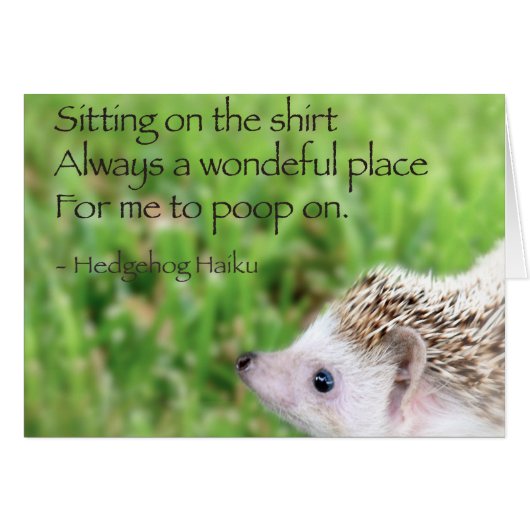 Hedgehog Haiku Cards (Front Horizontal)