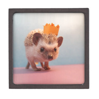 Hedgehog Happiness Jewelry Box