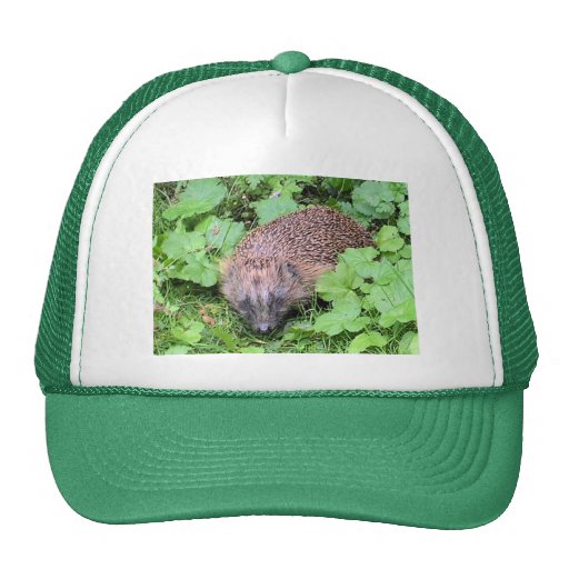 Hedgehog Hat | Zazzle