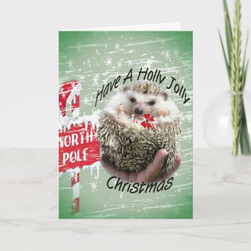 Hedgehog holly jolly xmas holiday card