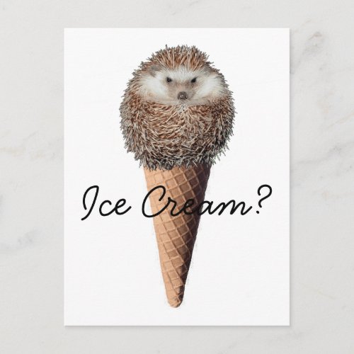 Hedgehog Ice Cream Postcard