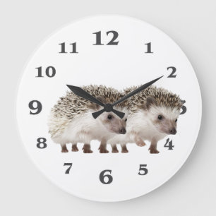Hedgehog image for Acrylic Wall Clock
