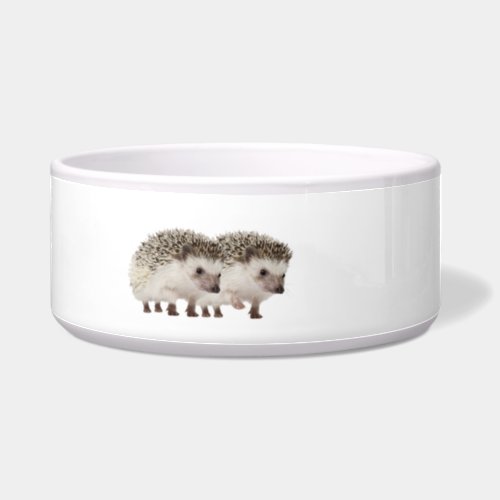 Hedgehog image for Large Pet Bowl